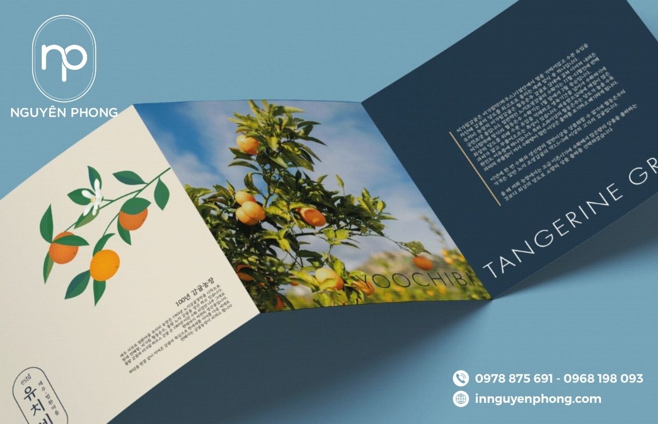 Tờ rơi giới thiệu